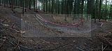 downhill inselsberg-15-08-2010_009